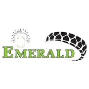 Emerald Tyre Manufacturers IPO