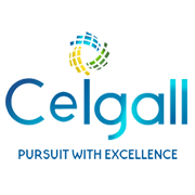 Ceigall India IPO