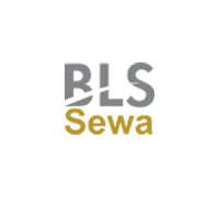 BLS E-Services IPO