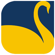 New Swan Multitech IPO