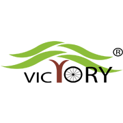 Victory Electric Vehicles International IPO