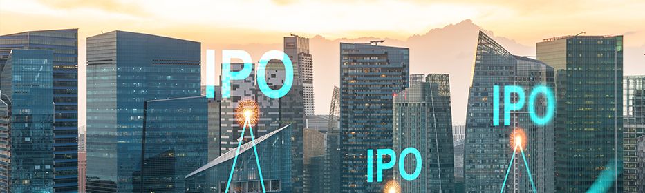 Top 6 Anticipated IPOs To Set 2024 Ablaze