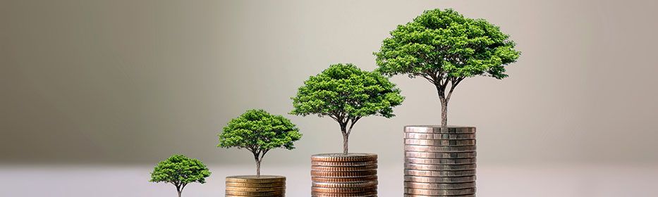 Mutual Funds - Understanding the Basics